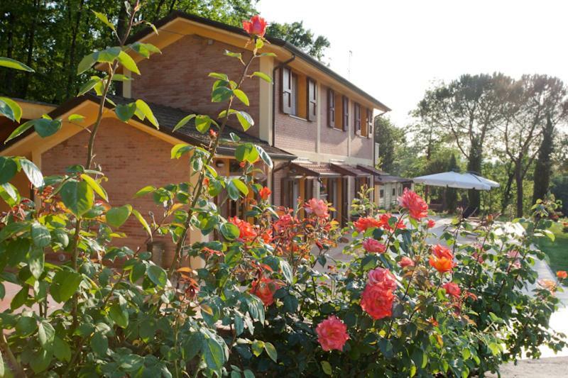 Agriturismo Di Paterno サルツァーナ エクステリア 写真
